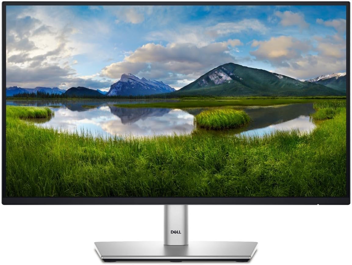 24 Dell P2422H - Image 4
